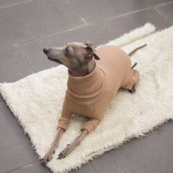 ubranko dla psa sweterkowe