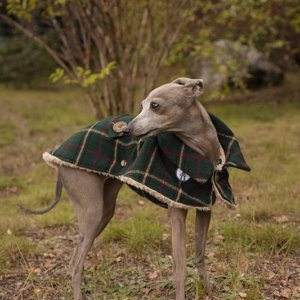 Płaszczyk zielony w kratkę beżowe i czerwone paski. Dla piesków rasy charcik włoski
