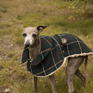 Płaszcz zielony w kratę z domieszką czerwieni i beżu, dla psa chart angielski.