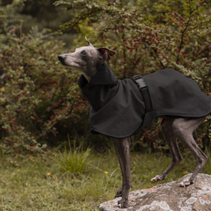 Kurtka podszyta cienkim polarem CZARNA dla Whippeta