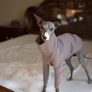 Bluza TAUPE brąz dla charcika