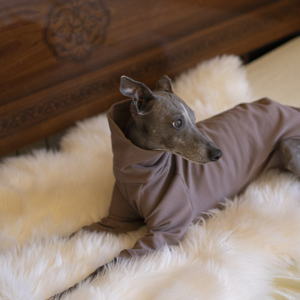 Bluza TAUPE brąz whippet