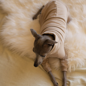 bluza beżowa z długim rękawe dla whippeta