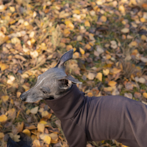 Bluza CHOCO brązowa whippet